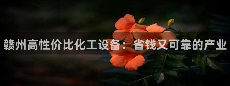 门徒娱乐是什么意思啊