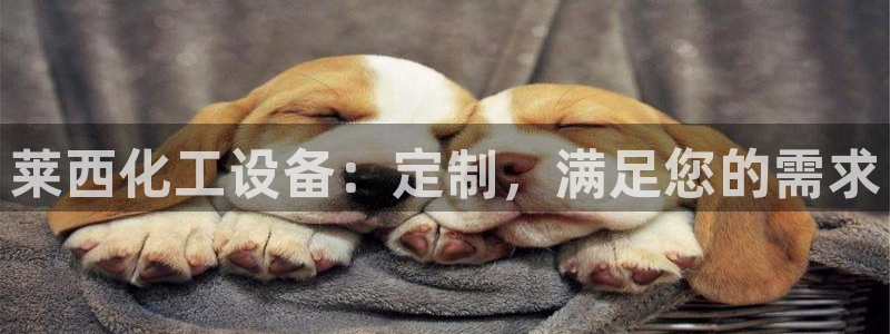 门徒娱乐怎么注册公司