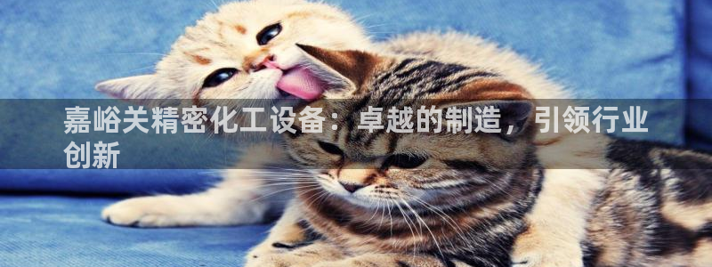 门徒娱乐平台登录地址