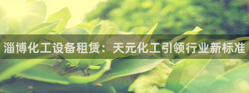 门徒平台注册中心官网查询