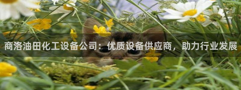 门徒娱乐项目介绍