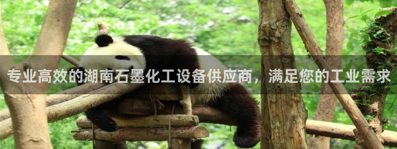 门徒平台推 5o69I7