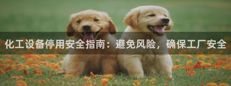 门徒平台官网首页