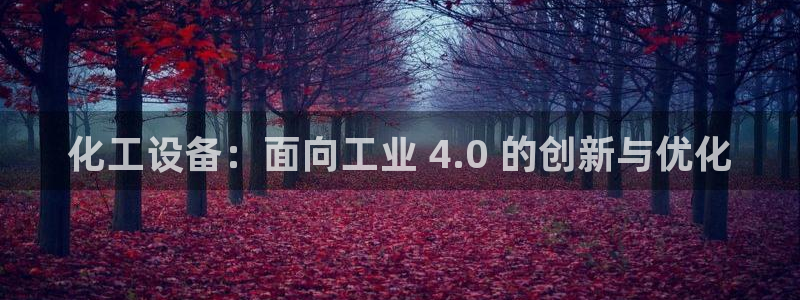 门徒平台定制 411O31 门徒