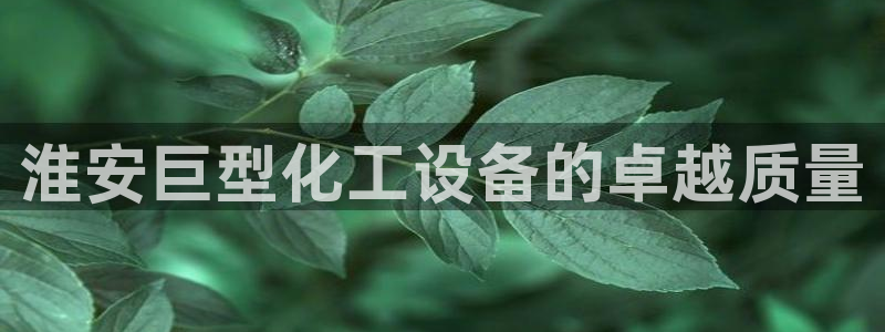 门徒平台注册登陆不上怎么办