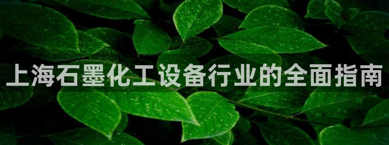 门徒平台下载