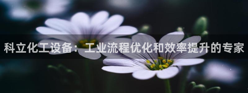 门徒平台集团官网下载安装