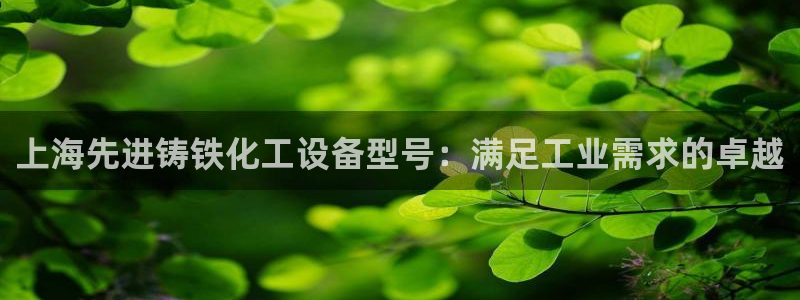 门徒平台登录注册失败