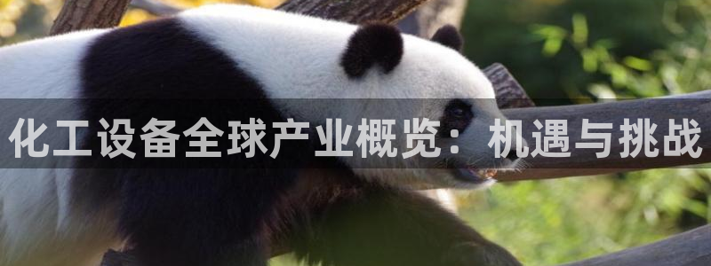 门徒平台商 411O31 门徒