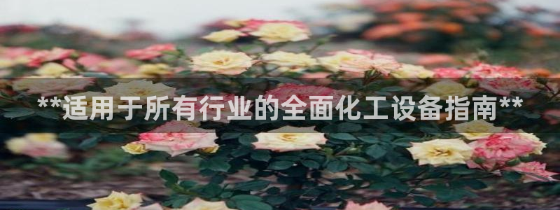 门徒娱乐平台代理怎么做