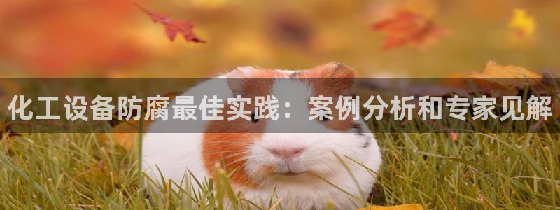 门徒平台建 411o31 门徒
