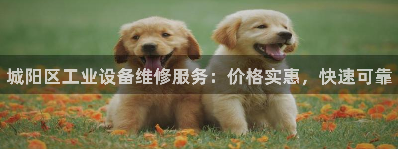 门徒平台虎 411O31 门徒