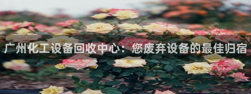 门徒娱乐平台下载