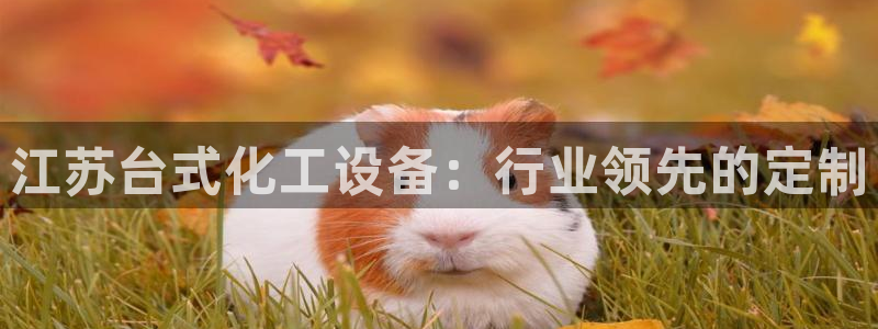 门徒平台测速网址大全