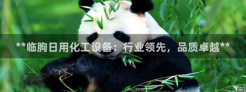 门徒娱乐注册登录地址怎么填