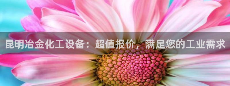 门徒平台注册中心电话
