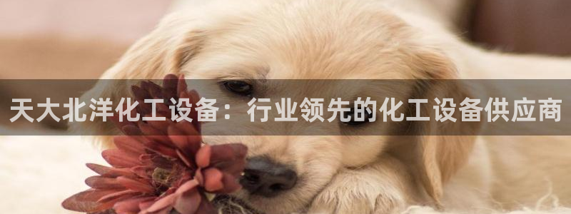 门徒平台入.门徒平台.几年了.长久.中国