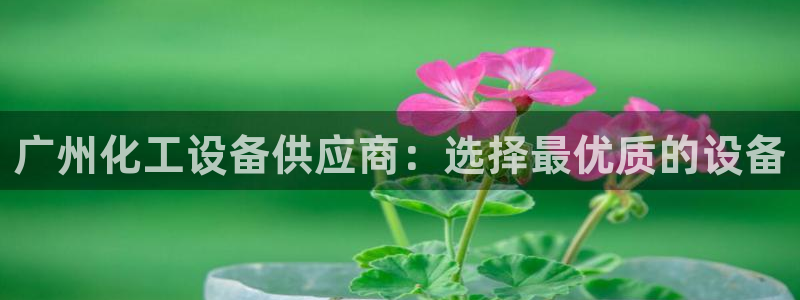 门徒娱乐好吗