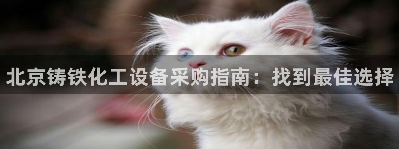 门徒娱乐会不会突然倒闭