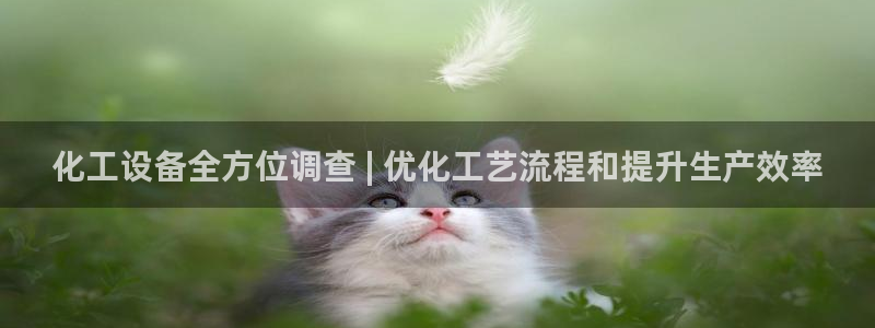 门徒平台官网