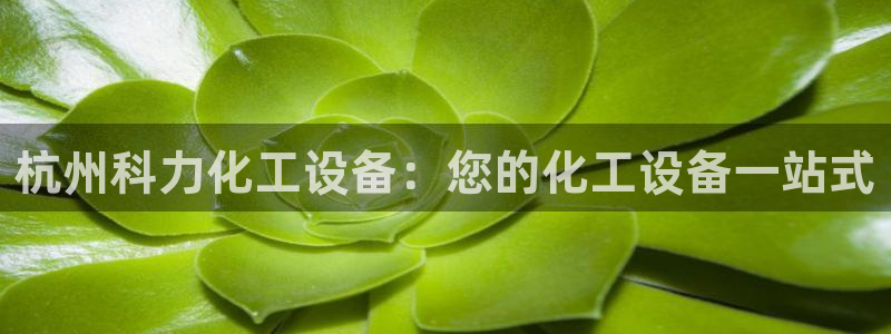 门徒娱乐平台登录入口
