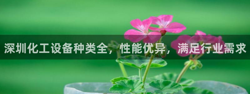 门徒娱乐测速