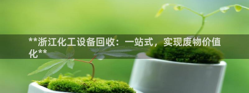 门徒平台定制 411O31 门徒