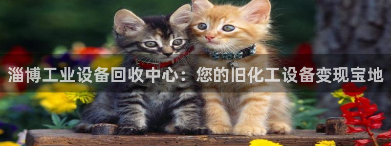 门徒娱乐注册官网入口