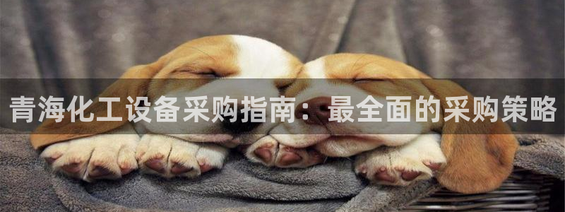 门徒平台登录注册账号