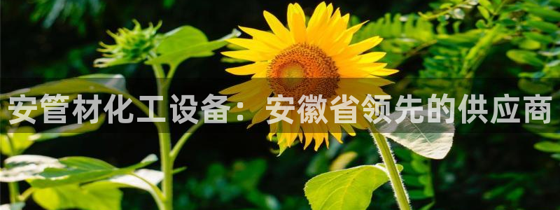 门徒娱乐线上客服