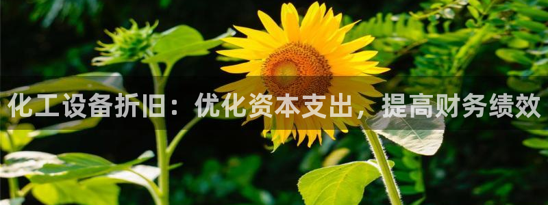 门徒平台入.门徒平台.怎么样.长久.中国