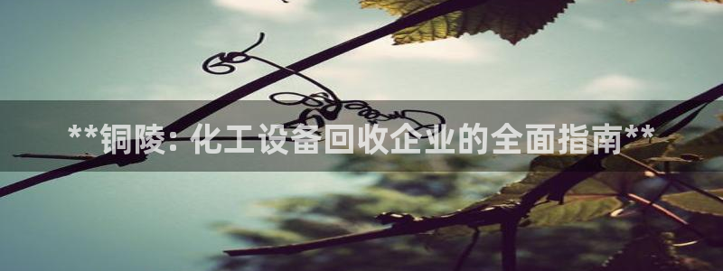 门徒平台测速网址是什么