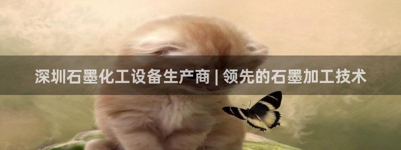 门徒娱乐用户评价与反馈