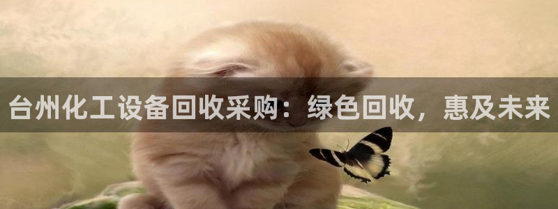 门徒平台建 411o31 门徒