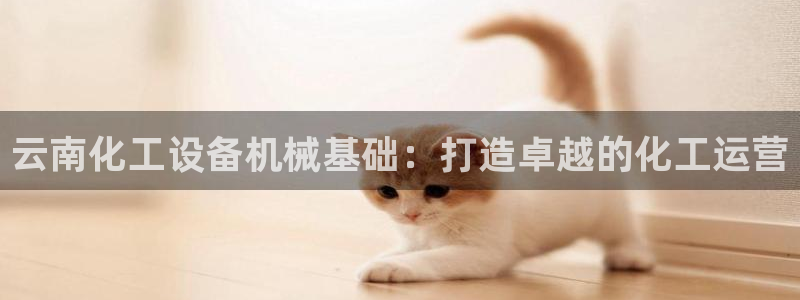 门徒娱乐平台登录
