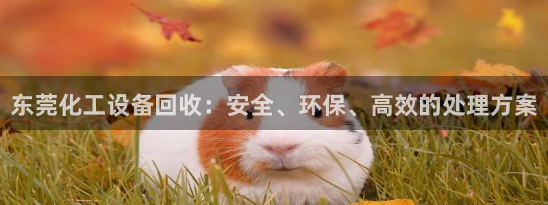 门徒娱乐怎么下载软件