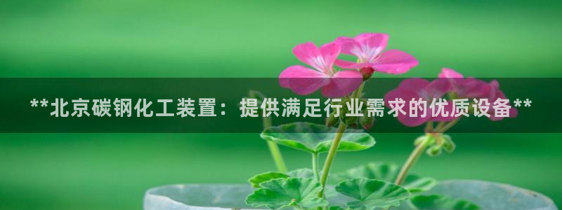 门徒平台注册登陆失败怎么办
