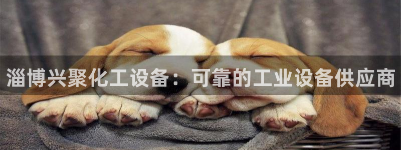 门徒平台寻 585341 门徒