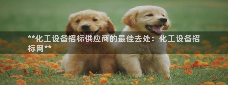 门徒娱乐29i娱乐判官333oo