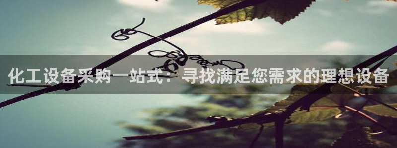 门徒娱乐注册下载安装：化工设备采购一站式：寻找满足