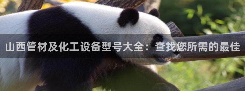 门徒娱乐成功案例分享