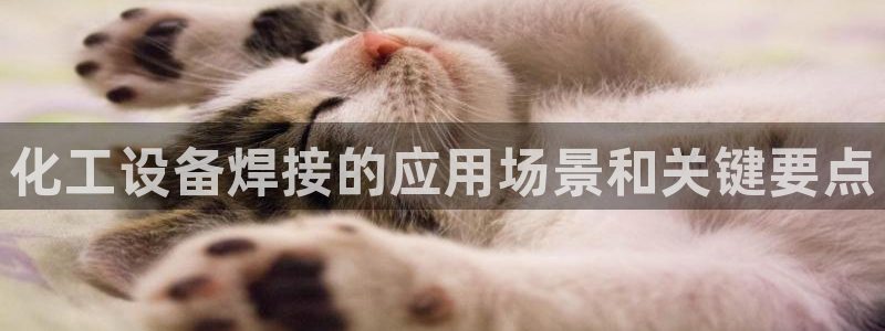 门徒娱乐控制器