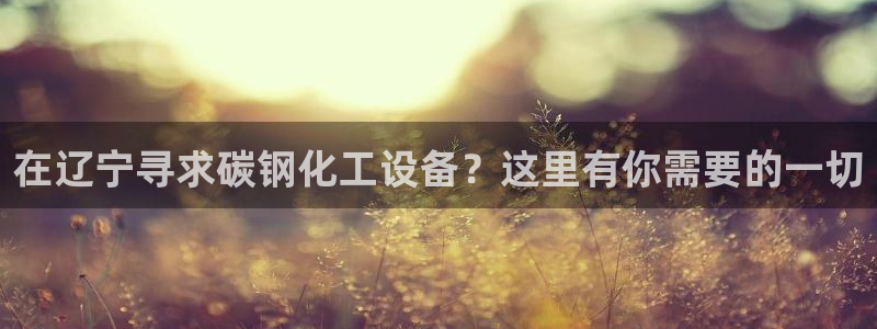 门徒平台注册中心在哪找：在辽宁寻求碳钢化工设备？这