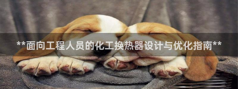 门徒娱乐成功案例分析：**面向工程人员的化工换热器